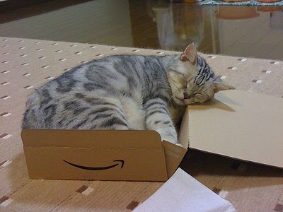 img00.jpg