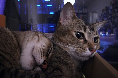 img14.jpg