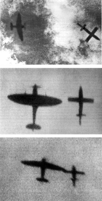p14.jpg