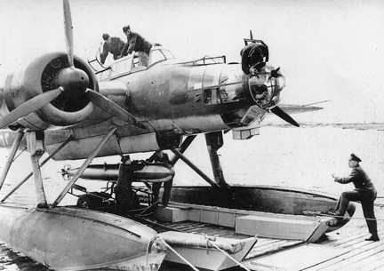 p16.jpg