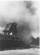 p19.jpg