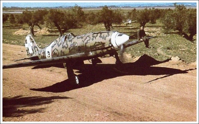 p20.jpg