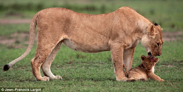 p7.jpg